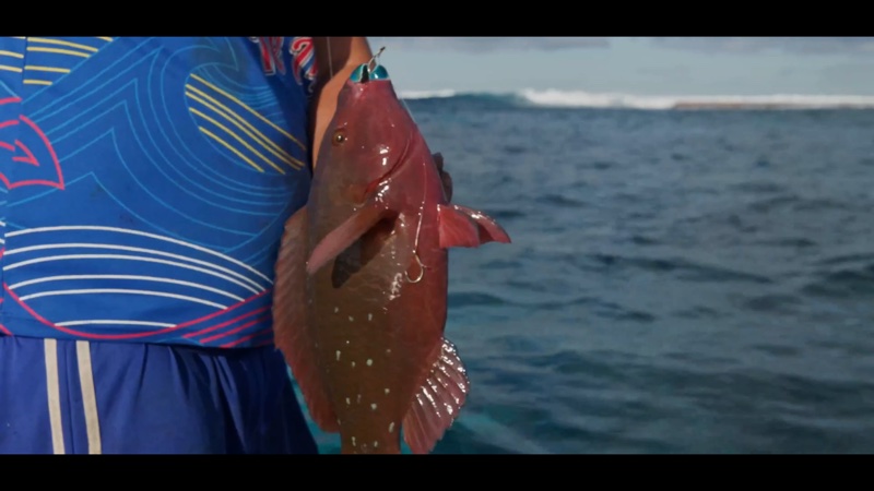 Vue des îles Australes — La pêche à l’encre de pieuvre, Polynésie française